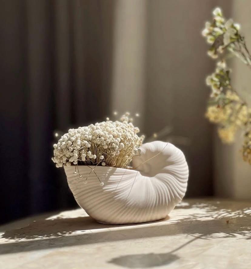 Deniz Kabuğu Saksı