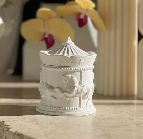 Deniz Kabuğu Saksı